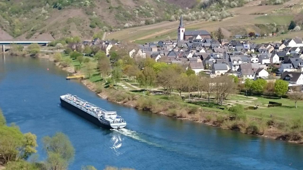 Ferienwohnungen Am Bruttiger Moselsteig Extérieur photo