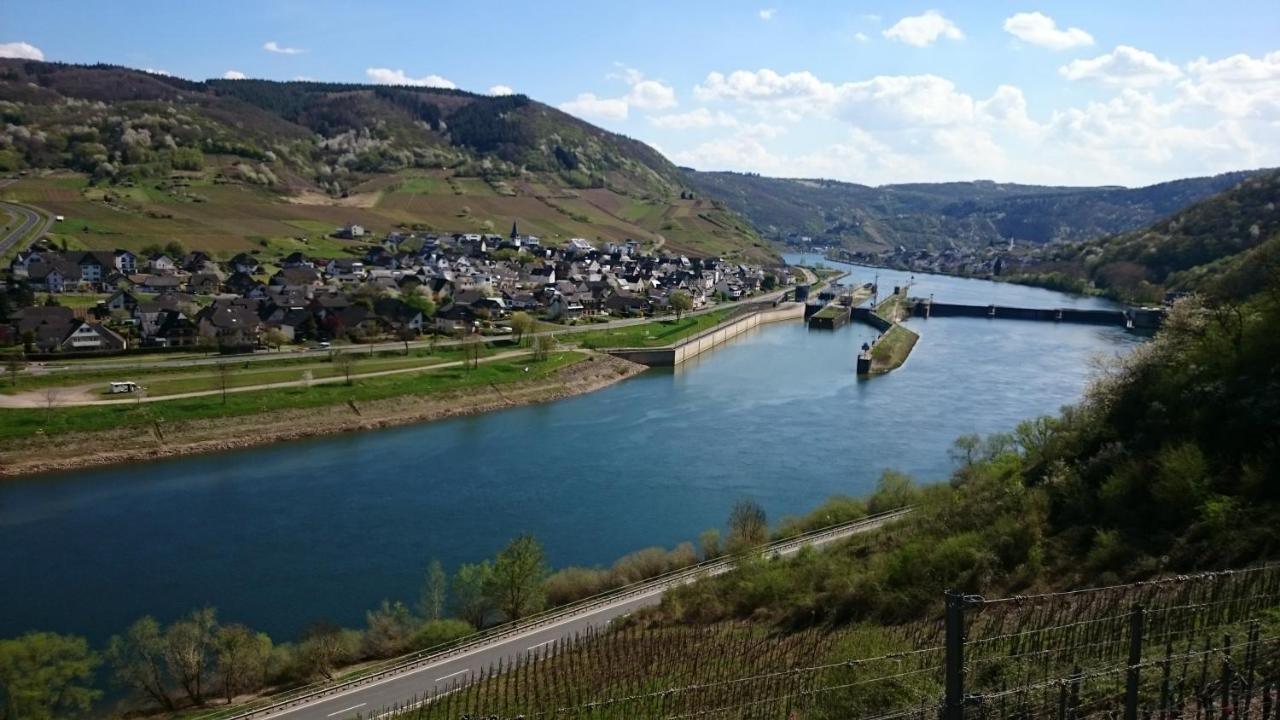 Ferienwohnungen Am Bruttiger Moselsteig Extérieur photo