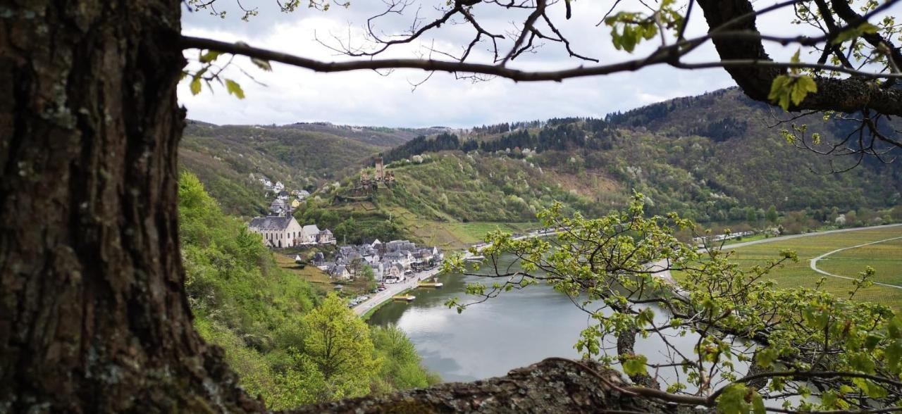 Ferienwohnungen Am Bruttiger Moselsteig Extérieur photo