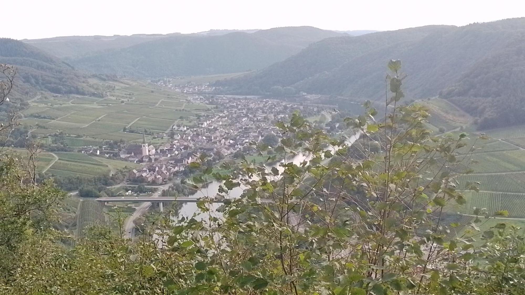Ferienwohnungen Am Bruttiger Moselsteig Extérieur photo
