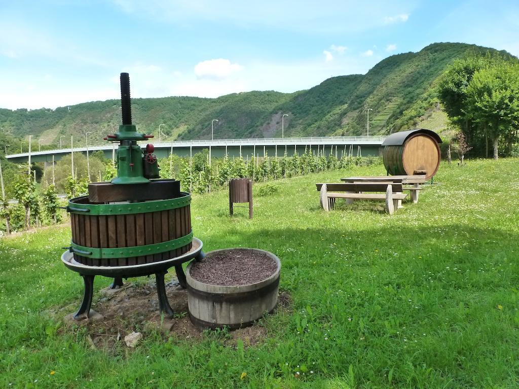 Ferienwohnungen Am Bruttiger Moselsteig Chambre photo