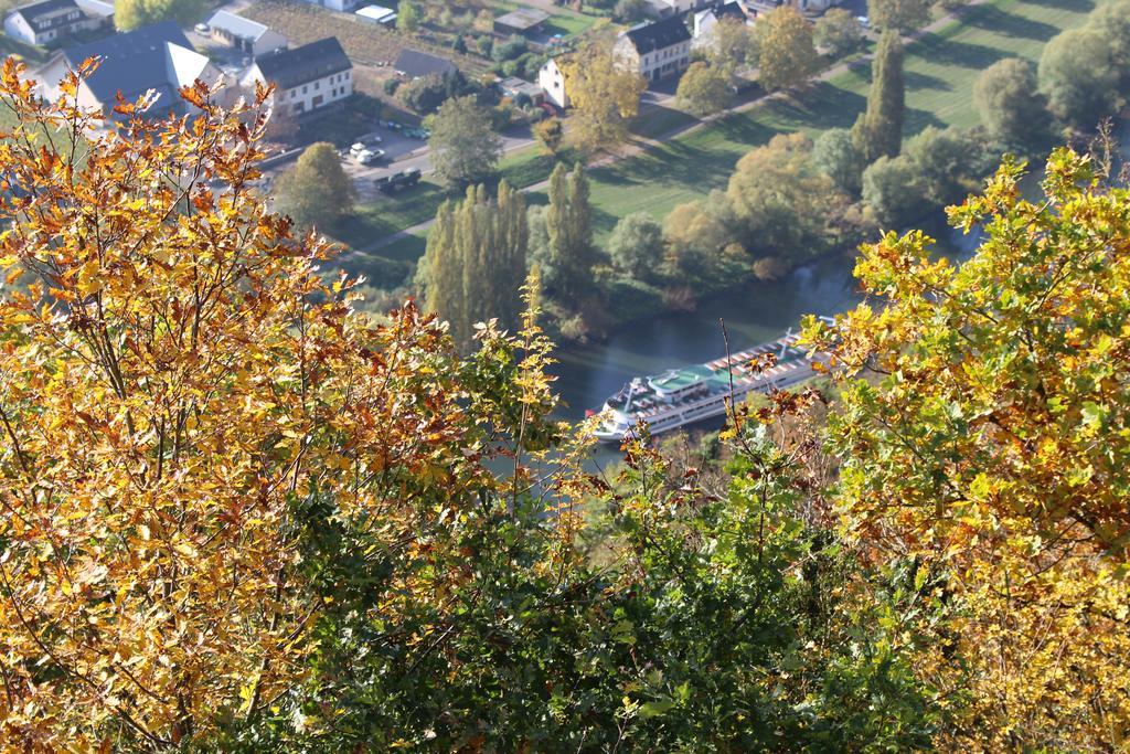 Ferienwohnungen Am Bruttiger Moselsteig Extérieur photo