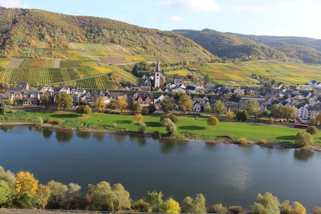 Ferienwohnungen Am Bruttiger Moselsteig Extérieur photo
