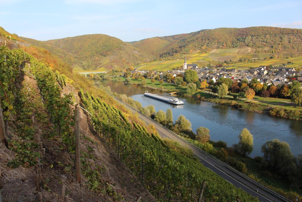 Ferienwohnungen Am Bruttiger Moselsteig Extérieur photo