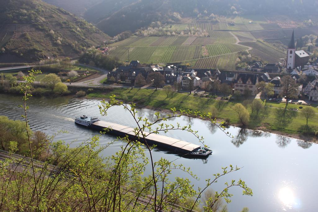Ferienwohnungen Am Bruttiger Moselsteig Extérieur photo