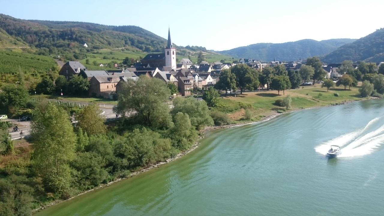 Ferienwohnungen Am Bruttiger Moselsteig Extérieur photo