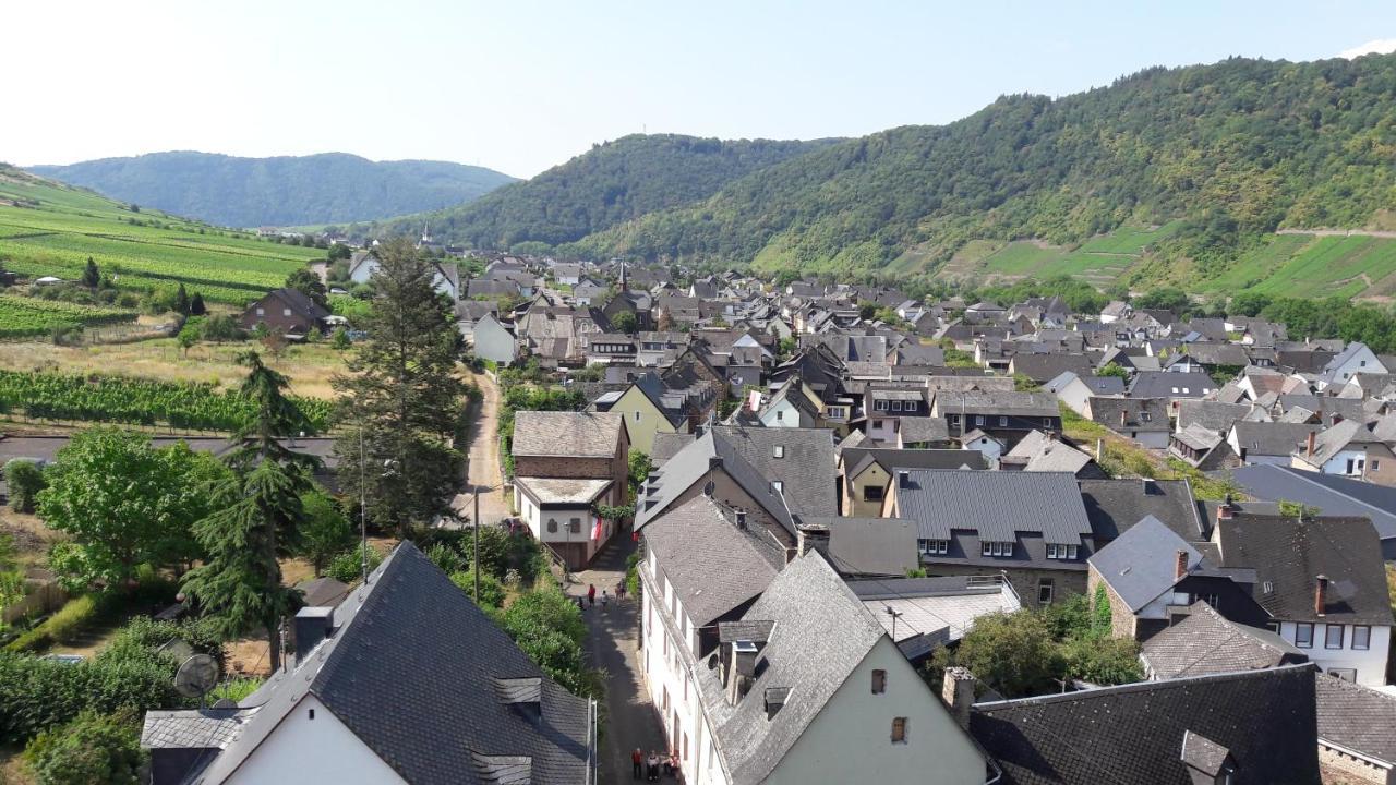 Ferienwohnungen Am Bruttiger Moselsteig Extérieur photo